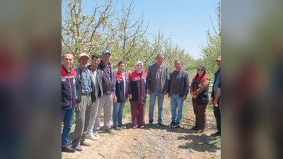 Karaman'da Elma Bahçelerinde Kalıntısız Üretim İçin Feromon Tel Uygulaması Başladı