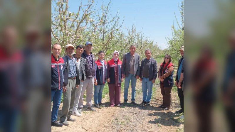 Karaman'da Elma Bahçelerinde Kalıntısız Üretim İçin Feromon Tel Uygulaması Başladı