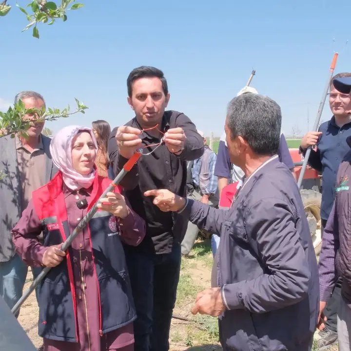 Karaman'da Elma Bahçelerinde Kalıntısız Üretim İçin Feromon Tel Uygulaması Başladı - Görsel 1