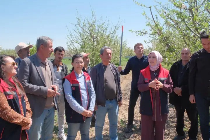 Karaman'da Elma Bahçelerinde Kalıntısız Üretim İçin Feromon Tel Uygulaması Başladı - Görsel 3