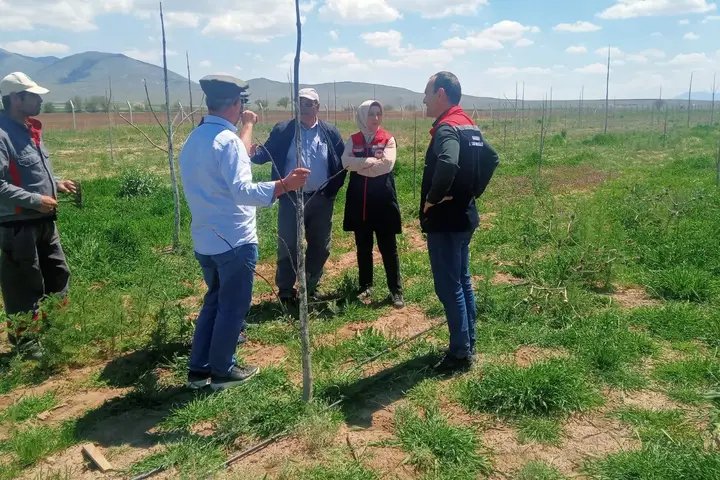 Karaman İl Tarım Müdürü Bulut, Üreticilere Desteklemeleri Anlattı - Görsel 3