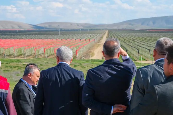 Vali Çiçek ve Vali Akın, Avrupa'nın En Büyük Elma Bahçesinde İnceleme Yaptı - Görsel 2
