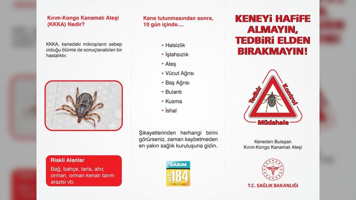 Karaman İl Sağlık Müdürü Yurdakul'dan Kene Tutunmasına Karşı Acil Uyarı