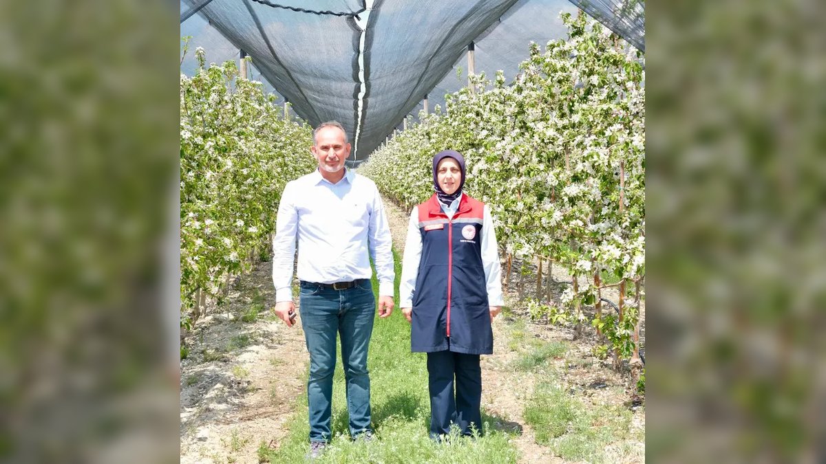 Karaman'da Elma Üretimi Artacak: Modern Teknikler İhracata Yönelik Kaliteyi Yükseltiyor