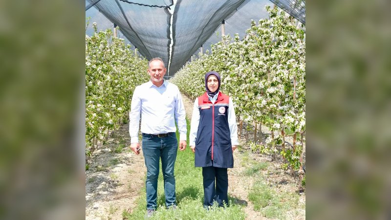 Karaman'da Elma Üretimi Artacak: Modern Teknikler İhracata Yönelik Kaliteyi Yükseltiyor
