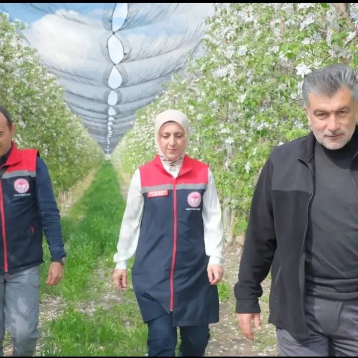 Karaman'da Elma Üretimi Artacak: Modern Teknikler İhracata Yönelik Kaliteyi Yükseltiyor - Görsel 1