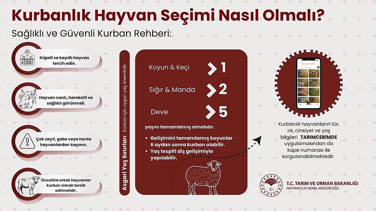 Hayvancılık Genel Müdürlüğü'nden Kurbanlık Alırken Dikkat Edilmesi Gerekenler Hakkında Önemli Uyarılar