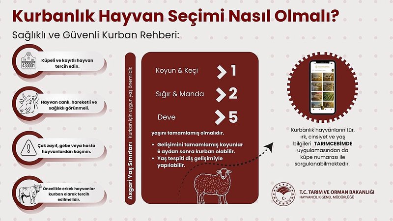 Hayvancılık Genel Müdürlüğü'nden Kurbanlık Alırken Dikkat Edilmesi Gerekenler Hakkında Önemli Uyarılar