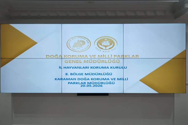 Karaman'da Hayvanları Koruma Kurulu Toplantısı: Sahipsiz Hayvanlara Yönelik Tedbirler Değerlendirildi - Görsel 1