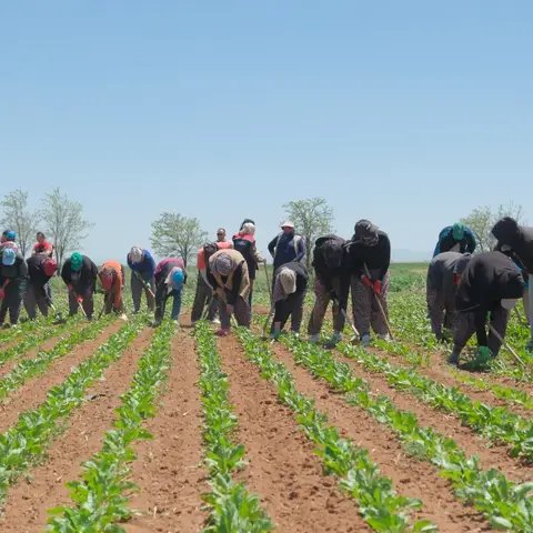 Karaman İl Tarım Müdürü Kazımkarabekir'de Üreticilerle Buluştu - Görsel 2