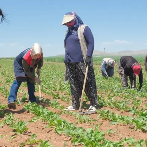 Karaman İl Tarım Müdürü Kazımkarabekir'de Üreticilerle Buluştu - Görsel 3