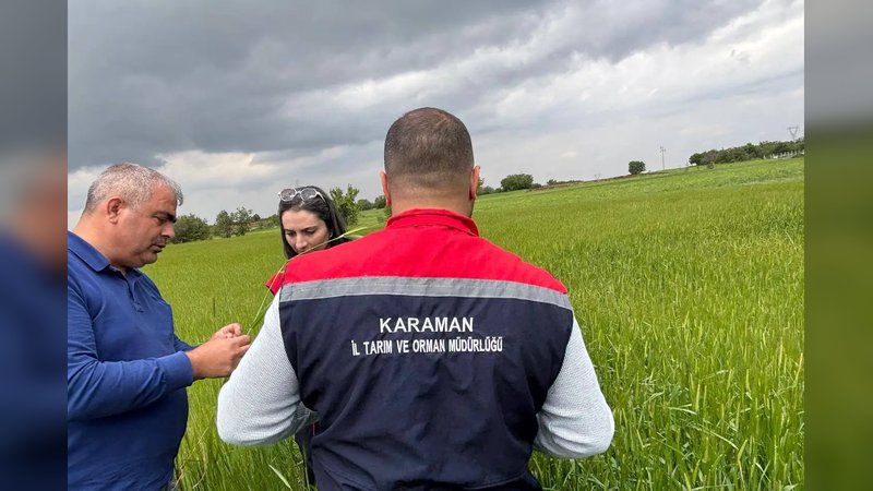 Karaman Tarım İl Müdürlüğü'nden ÇKS Beyan Doğruluğu ve Parsel Kontrolü Açıklaması - Görsel 1