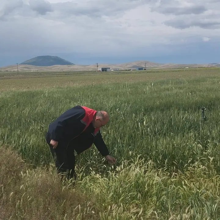 Karaman'da Dolu Yağışı Sonrası Dinek Köyü'nde Hasar Tespiti Başladı - Görsel 1