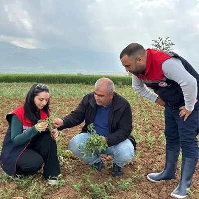 Karaman'da Nohut Üreticilerine Antraknoz Uyarısı: İl Tarım Müdürlüğü'nden Acil Çağrı