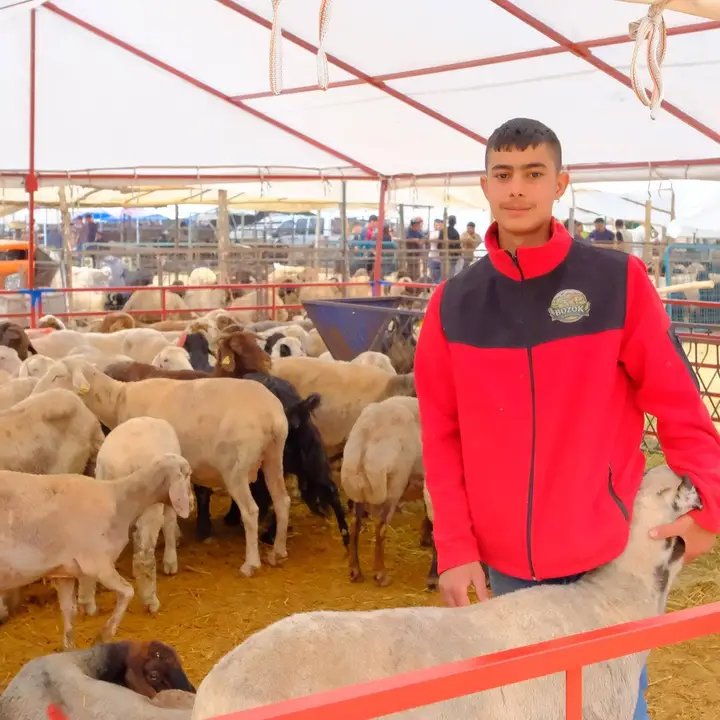 Karaman'da Güvenli Kurbanlık Alımı İçin Sahada Bilgilendirme Yapıldı - Görsel 1