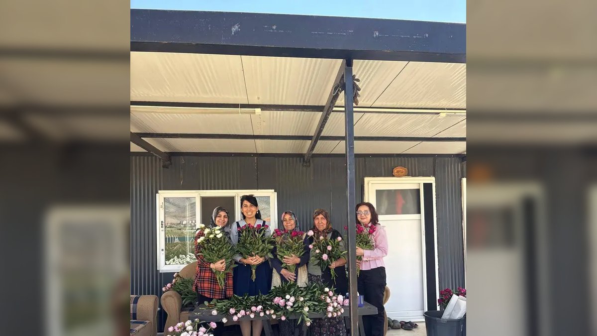 Karaman'da Yüksek Gelirli Şakayık Hasadı Başladı