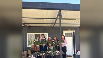Karaman'da Yüksek Gelirli Şakayık Hasadı Başladı