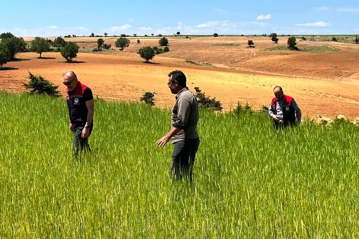 Karaman'da Dolu Afeti: Tarım Alanlarında Hasar Tespiti Başladı