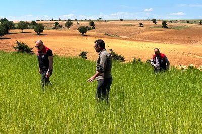 Karaman'da Dolu Afeti: Tarım Alanlarında Hasar Tespiti Başladı