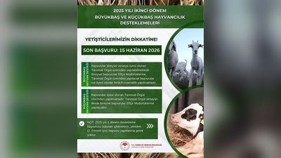 Hayvancılık Desteklemelerinde İkinci Dönem Başvuruları Başladı: Son Tarih 15 Haziran 2026