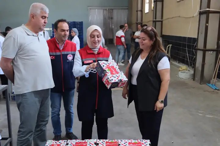 Karaman Kirazı ve Mut Kayısısı Dünya Sofralarında: 3250 Ton İhracat Gerçekleşti