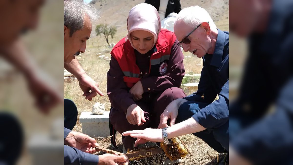 Karaman'da Ana Arı Üretimi Ziyareti: Yıllık 28 Bin Ana Arı