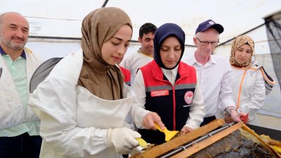 Ayrancı'da Bal Hasadı Coşkusu: Kaymakam Özer ve İl Müdürü Bulut Üreticilere Destek Verdi