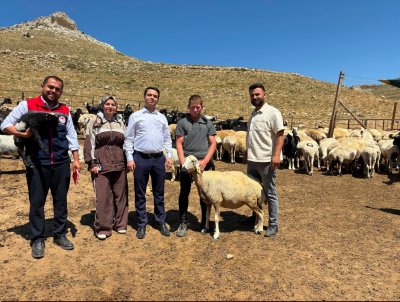 Başyayla'da 'Köyümde Yaşamak İçin Bir Sürü Nedenim Var' Projesi Üreticiye Destek Oluyor