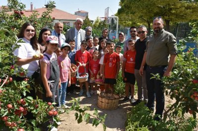 Karaman Yılmaz Babaoğlu İlkokulu'nda 'Elma Fidanı' Projesinde İkinci Hasat Sevinci