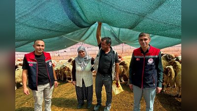 Karaman'da Kırsalda Bereket Projesiyle 100 Küçükbaş Hayvan Teslim Edildi