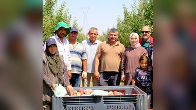 Karaman'da Elma Hasadı Gala Çeşidiyle Başladı: Üreticilere Bereketli Sezon Dileği