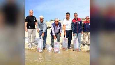 Karaman Göletleri 150 Bin Pullu Sazan Yavrusuyla Buluştu
