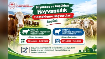 Karaman'da Büyükbaş ve Küçükbaş Hayvancılık Destekleme Başvuruları Başladı