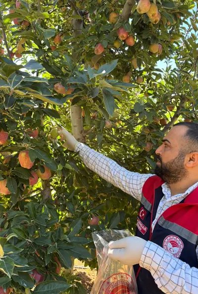 Karaman'da Elma Bahçelerinde Kalıntı İzleme Çalışmaları Başladı