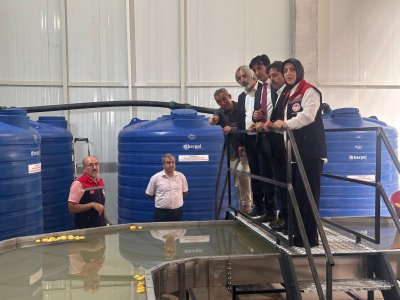 Karaman Elma Sınıflandırma Merkezi'nde Önemli İnceleme: Tarımsal Üretime Katkı