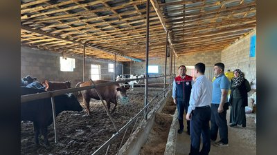 Karaman Başyayla'da Hayvancılık Projesiyle Üreticiye Destek