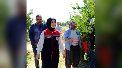 Karaman'da Tarımsal Desteklemeler ve Üretim Planlaması Masaya Yatırıldı