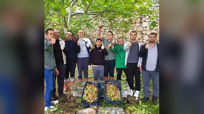 Karaman'da Özel Gereksinimli Bireyler Ceviz Toplama Etkinliğinde Buluştu