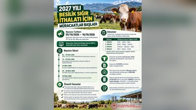 Karaman'da 2027 Besilik Sığır İthalatı Başvuruları Başladı