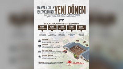 Karaman'da Hayvancılık İşletmelerinde Yeni Dönem: 5 Sınıflı Kategorizasyon Başlıyor