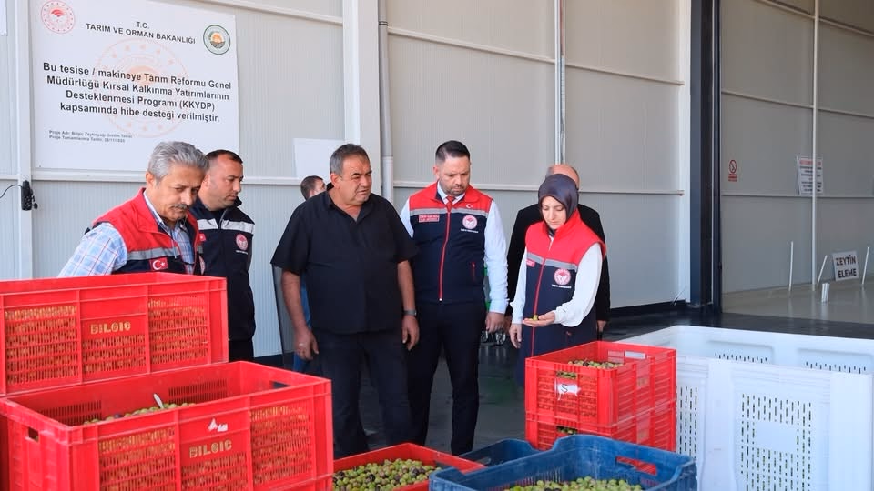 Ermenek'te Zeytin Yatırımları İncelendi